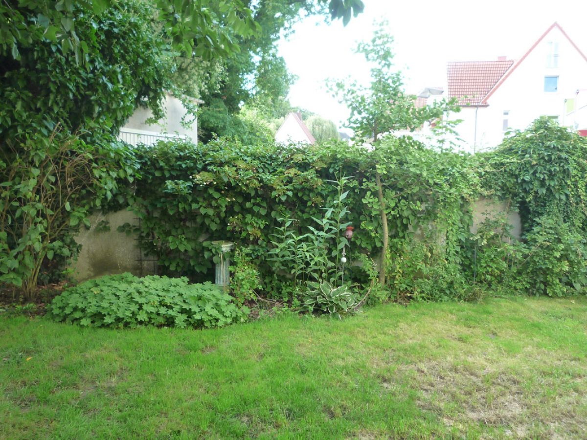Garten-1-5.jpg